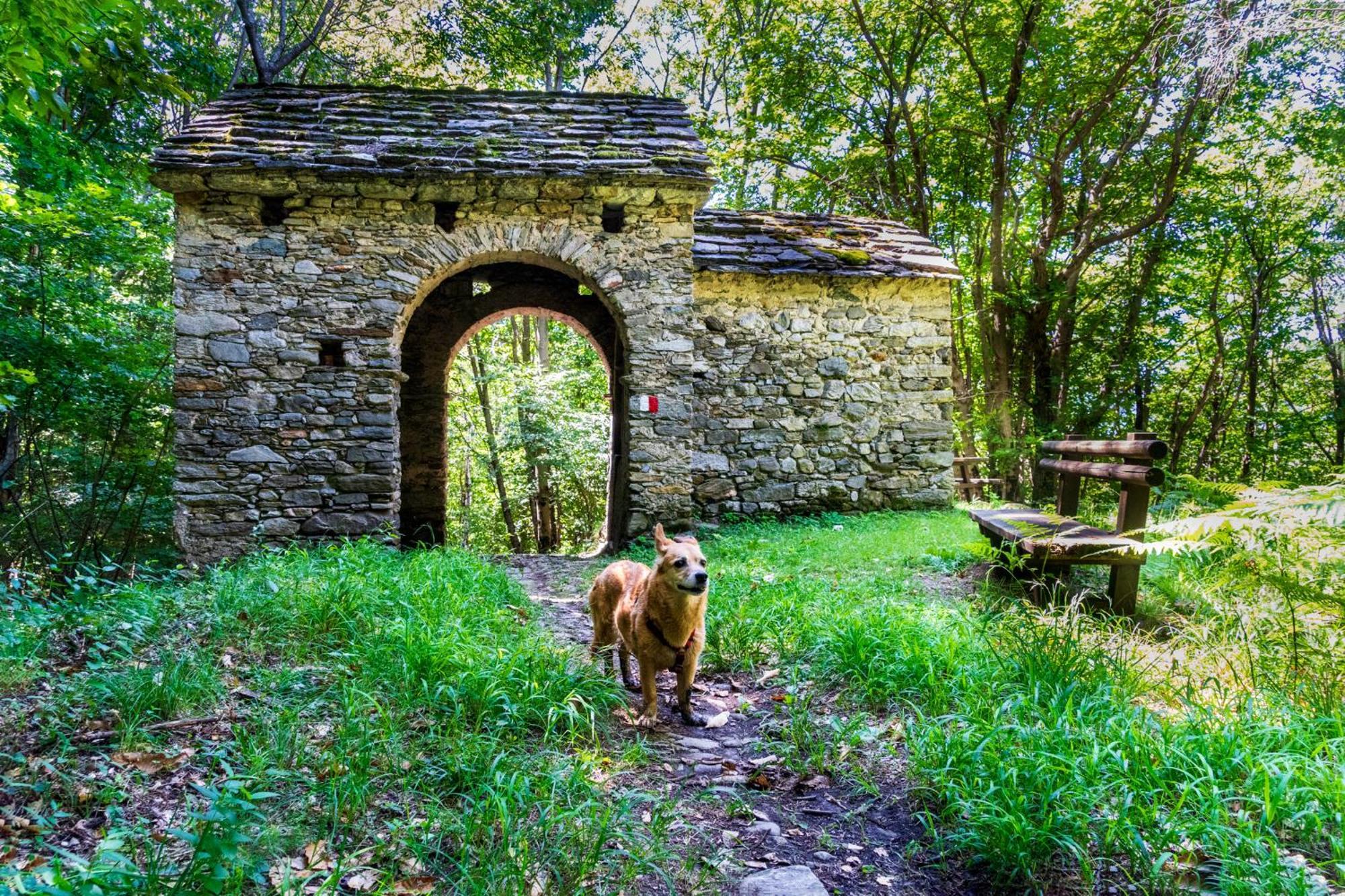 Casa Del Borgo "Aria & Acqua" Sul Lago Maggiore Maccagno Екстериор снимка