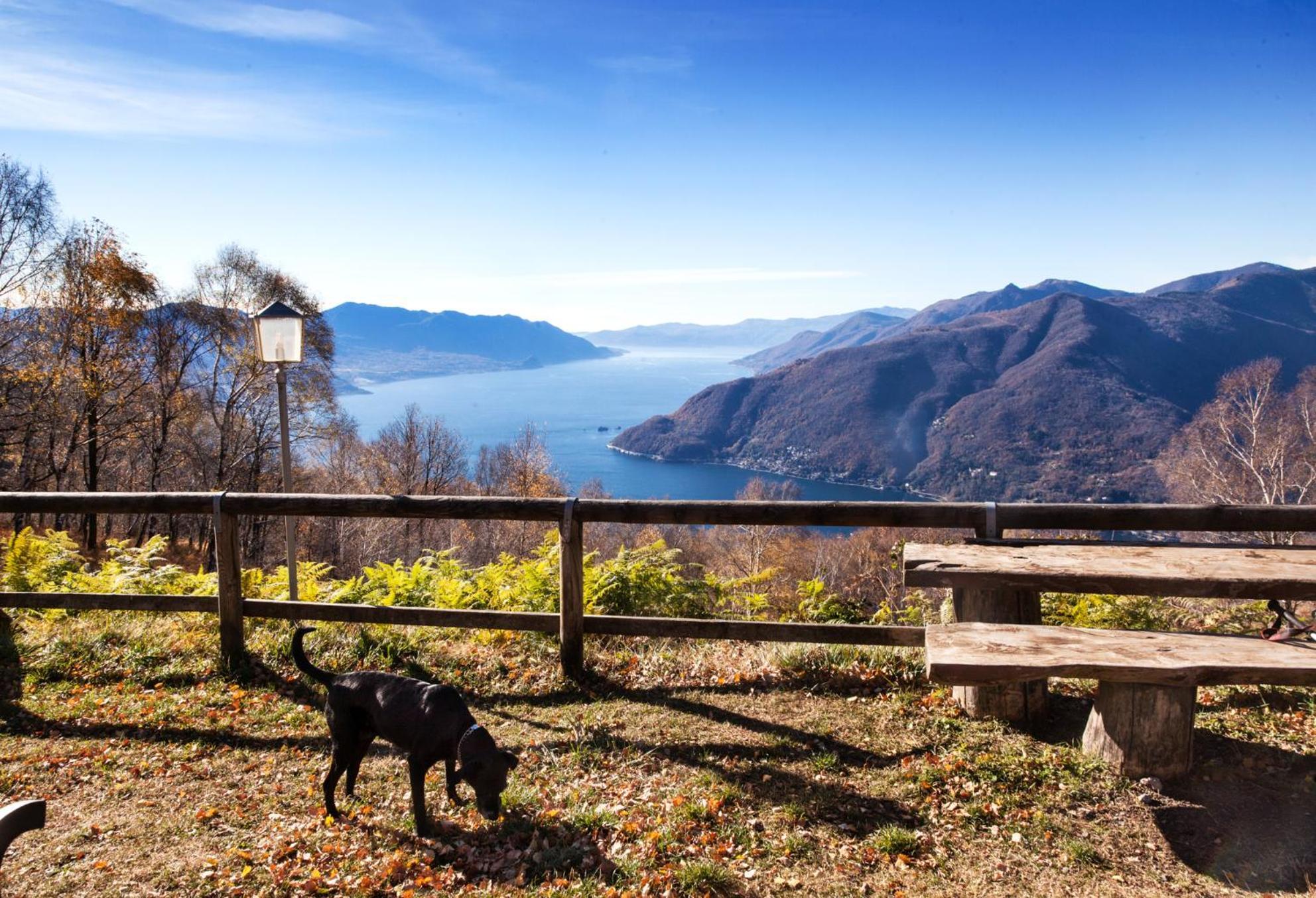Casa Del Borgo "Aria & Acqua" Sul Lago Maggiore Maccagno Екстериор снимка